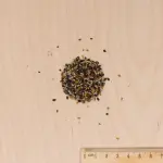 Mélanges de fleurs - Fleurs Vivaces pour Rocaille - 4 m² - Mélange de fleurs - MEDIA_3D